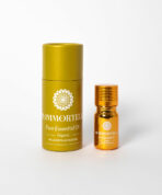 Helichrysum Italicum - Bild 2