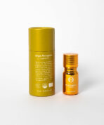 Helichrysum Italicum - Bild 3