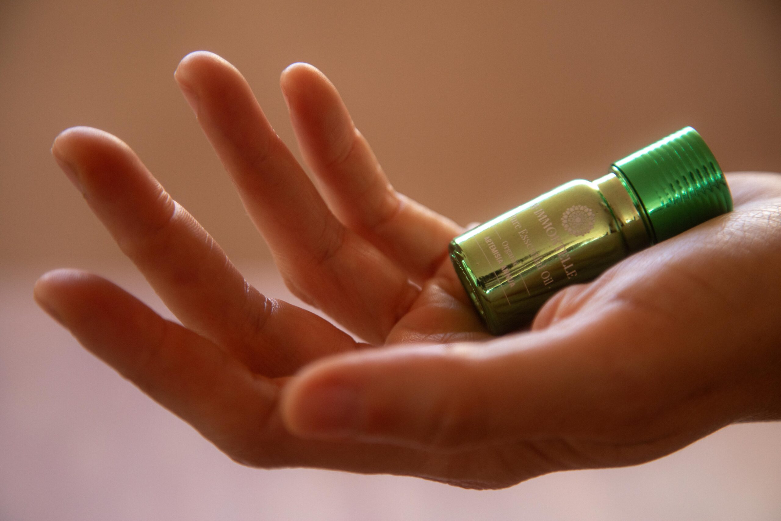 how-to-use-artemisia-annua