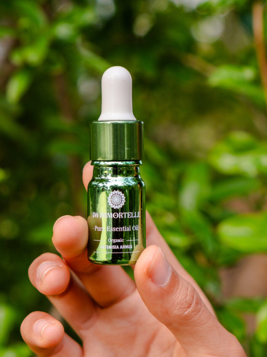 artemisia for vascular health