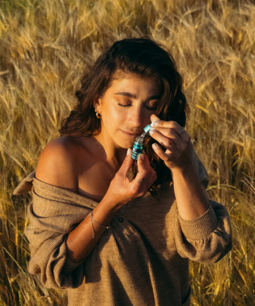 aromatherapy in nature rosemary